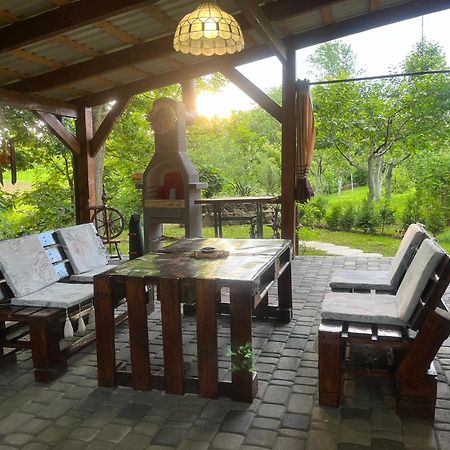 Hotel Окремий Будинок-Апартаменти Rakoshyno Bagian luar foto