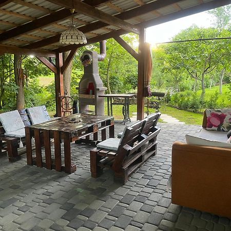 Hotel Окремий Будинок-Апартаменти Rakoshyno Bagian luar foto