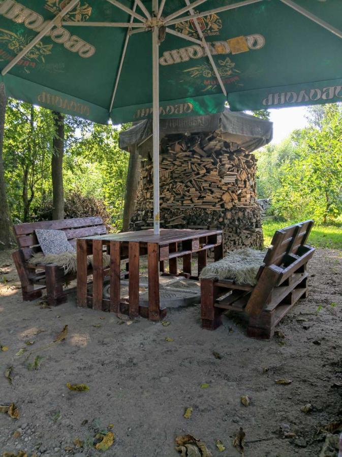Hotel Окремий Будинок-Апартаменти Rakoshyno Bagian luar foto