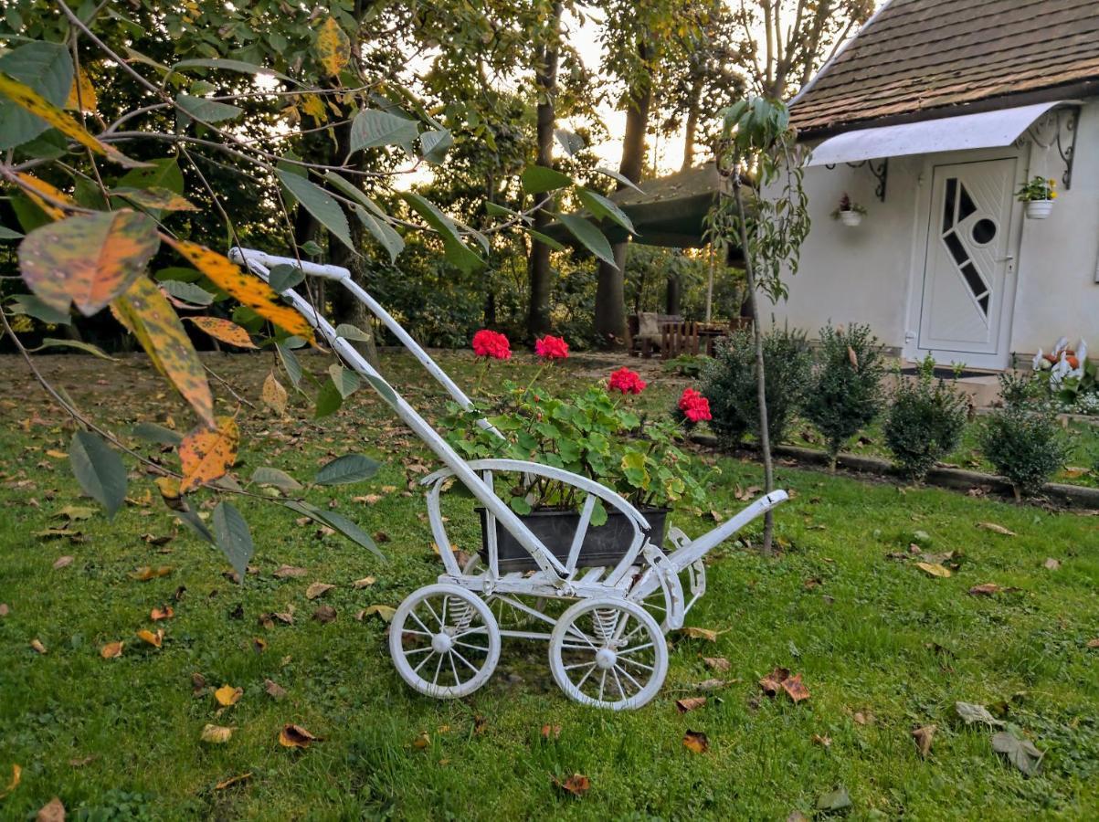 Hotel Окремий Будинок-Апартаменти Rakoshyno Bagian luar foto