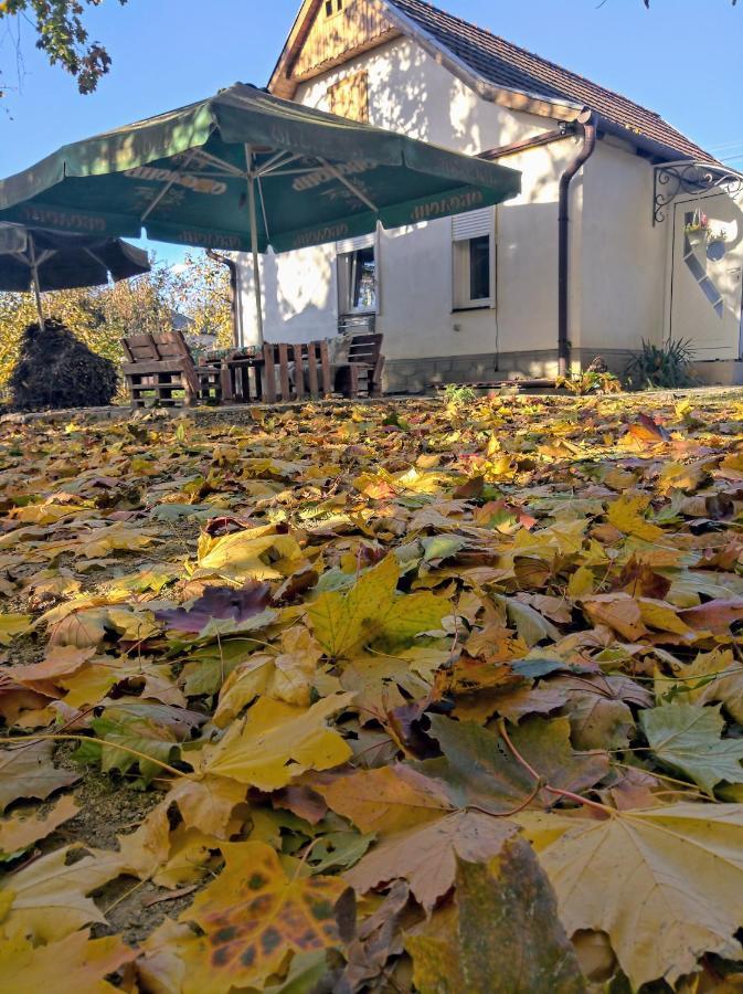 Hotel Окремий Будинок-Апартаменти Rakoshyno Bagian luar foto