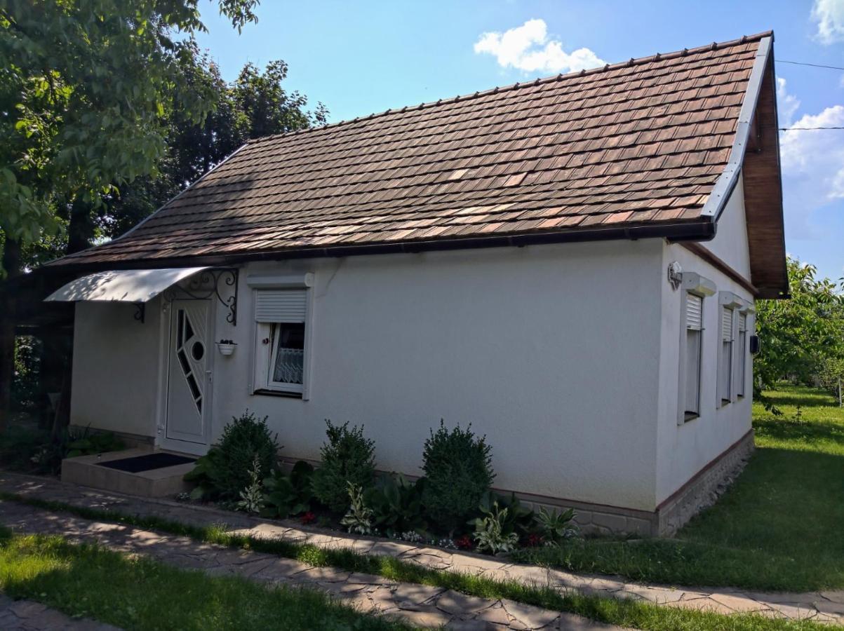 Hotel Окремий Будинок-Апартаменти Rakoshyno Bagian luar foto